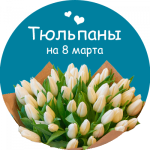 Купить тюльпаны в Вологде